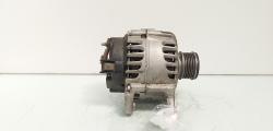 Alternator 110A Valeo, cod 8200495294, Renault Megane 2 1.9 DCI, F9Q804  (id:660042)