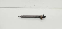 Injector, cod 9686191080, EMBR00101D, Land Rover Range Rover Evoque 2.2 CD4, 224DT (id:662050)