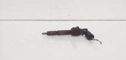 Injector, cod 7T1Q-9F593-AB, Ford Transit Connect (P65) 1.8 TDCI, R3PA (id:665408)
