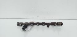Rampa injectoare cu senzori, cod 8200620689, 0445214113, Renault Megane 3, 1.9 DCI, F9Q754 (idi:663401)