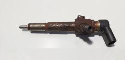Injector, cod 4M5Q-9F593-AD, Ford Tourneo Connect, 1.8 TDCI, P9PD (idi:669297)