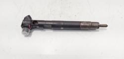 Injector Delphi, cod A65110700587, Mercedes Clasa E (W212) 2.2 CDI, OM651924 (id:672752)