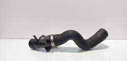 Furtun intercooler, cod CV61-6K863-AE, Ford Focus 3, 1.0 benz, M1DA (id:673793)