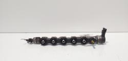 Rampa injectoare cu senzori, cod 8200610223, Renault Laguna 3, 2.0 DCI, M9R (id:675049)