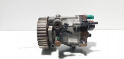 Pompa inalta presiune Delphi, cod 8200707450A, 8200057225, Renault Kangoo 1 Express 1.5 DCI, K9K704 (id:675313)