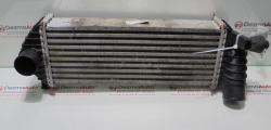 Radiator intercooler 8200427469, Renault Kangoo 1.5dci (id:288770)