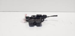 Broasca haion, cod 846300003R, Renault Megane 3 Coupe (id:679241)