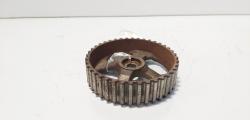 Fulie ax came, Renault Laguna 2 1.9 DCI, F9Q750 (id:679986)