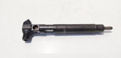 Injector Delphi, cod A6510704987, Mercedes Clasa E (W212), 2.2 CDI, OM651924 (id:677839)