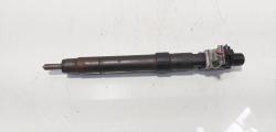 Injector, cod 9686191080, EMBR00101D, Ford Galaxy 2 2.0 TDI, UFWA (id:685051)