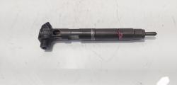 Injector Delphi, cod A6510704987, Mercedes Clasa E (W212) 2.2 CDI, OM651924 (id:474130)