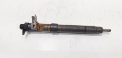 Injector, cod 9686191080, EMBR00101D, Ford Galaxy 2 2.0 TDCI, UFWA (id:686887)