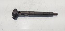 Injector Delphi, cod A6510702887, Mercedes Clasa E (W212) 2.2 CDI, OM651924 (id:685092)