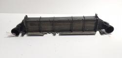 Radiator intercooler, cod A2035000400, Mercedes Clasa C (W203) 2.2 CDI (id:688179)