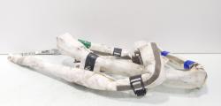 Airbag cortina stanga, cod 8R0880741E, Audi Q5 (8RB) (id:688952)