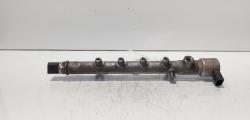 Rampa injectoare cu senzori Delphi, cod A6510700495, Mercedes Clasa C (W204), 2.2 CDI, OM651912 (idi:689179)