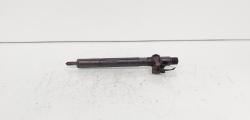 Injector Delphi, cod A6510700587, Mercedes Clasa E (W212), 2.2 CDI, OM651924 (id:689246)