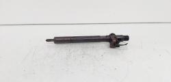 Injector Delphi, cod A6460700987, Mercedes Clasa E (W211), 2.2 CDI, OM646821 (id:692042)