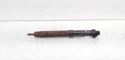 Injector, cod 9686191080, EMBR00101D, Ford Galaxy 2 2.0 TDCI, UFWA (id:692039)