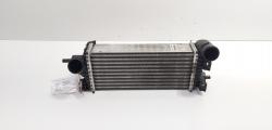 Radiator intercooler, cod CV61-9L440-VC, Ford Focus 3 1.0 ecoboost, M2DA (id:690642)