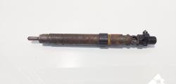 Injector, cod 9686191080, EMBR00101D, Ford Galaxy 2 2.0 TDCI, UFWA (id:693154)