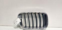 Grila bara fata centrala dreapta sus, Bmw X3 (F25) (id:695800)