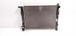 Radiator racire apa, cod 214100078R, Dacia Logan 2, 1.5 DCI (id:696879)