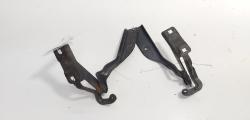 Set balamale capota fata, Nissan Primera (P12) (id:697301)
