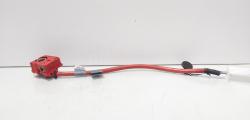 Borna baterie plus cu capsa, cod 9217035-01, Bmw 5 Gran Turismo (GT) (id:701172)