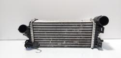 Radiator intercooler, cod CV61-9L440-VD, Ford Focus 3 1.0 benz, M1DA (id:701901)