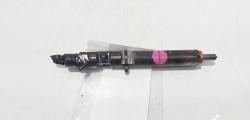 Injector Delphi, cod 8200567290, Renault Megane 2 1.5 DCI (id:669953)