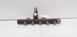 Rampa injectoare cu senzor, cod 8200669695, Renault Clio 3, 1.5 DCI, K9K770 (id:703188)