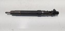 Injector, cod 9686191080, EMBR00101D, Ford Galaxy 2, 2.0 TDCI, UFWA (id:700551)
