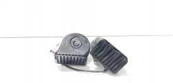 Set claxoane, cod 256100008R, Renault Laguna 3 (id:705026)