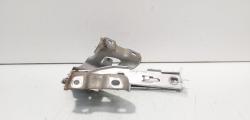 Set balamale capota fata, Audi A5 Sportback (8TA) (id:706158)