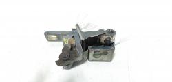 Set balamale usa stanga fata, Skoda Rapid (NH3) (id:706391)