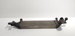 Radiator intercooler, cod 14461-BB50B, Nissan Qashqai 1.6 DCI, R9M402 (id:707166)