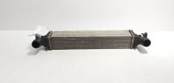 Radiator intercooler, cod 39185909, Opel Astra K 1.6 CDTI, B16DTU (id:708049)