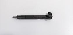 Injector Delphi, cod A6510702887, Mercedes Clasa E (W212) 2.2 CDI, OM651924 (id:711749)
