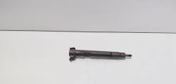 Injector Delphi, cod A6510700587, Mercedes Clasa E (W212) 2.2 CDI, OM651924 (id:712884)