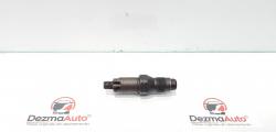 Injector, cod LCR6736001, Citroen Berlingo 2, 1.9 d, WJY (idi:356673)