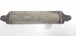 Radiator intercooler, cod A2045000200, Mercedes Clasa E (W212) 2.2 CDI, OM651925 (id:713095)