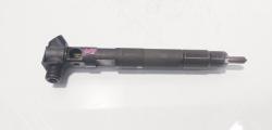 Injector Delphi, cod A6510702887, Mercedes Clasa E (W212) 2.2 CDI, OM651924 (id:714618)