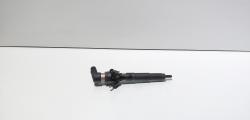 Injector, cod 8200903034, 08200704191, Renault Megane 3 Coupe 1.5 DCI (idi:713840)