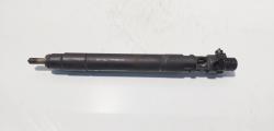 Injector, cod 9686191080, EMBR00101D, Ford Galaxy 2 2.0 TDCI, UFWA (id:716145)