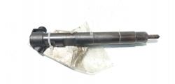 Injector Delphi, cod A6510702887, Mercedes Clasa E (W212) 2.2 CDI, OM651924 (id:585052)