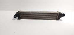 Radiator intercooler, cod 8V61-9L440-AB, Ford Focus 2 Combi (DA) 2.0 TDCI, G6DA (id:717407)