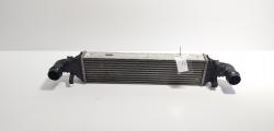 Radiator intercooler, cod A2045000200, Mercedes Clasa E (W212) 2.2 CDI, OM651925 (id:718139)