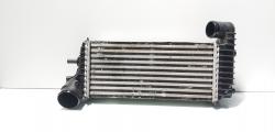 Radiator intercooler, cod BV61-9L440-CK, Ford Transit Connect V480 Furgon/minivan (id:718429)