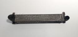 Radiator intercooler, Seat Alhambra (7V8, 7V9) 1.9 TDI, AUY (idi:717497)